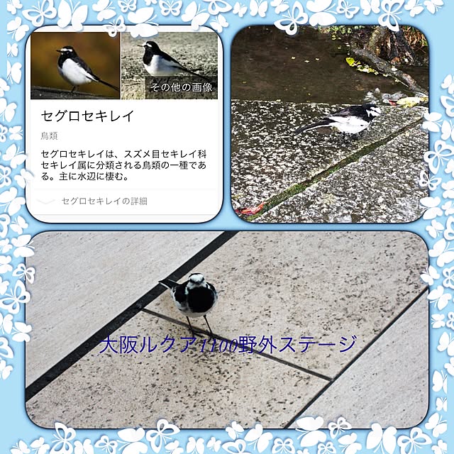bara2200さんの実例写真