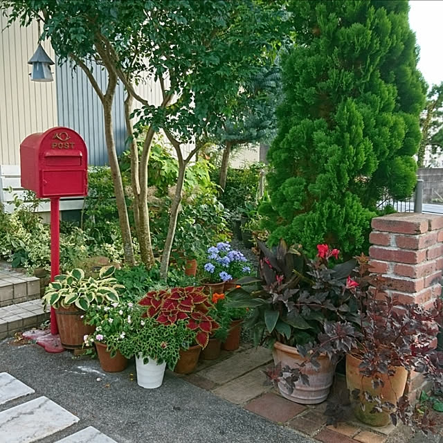 kohmarlさんの実例写真