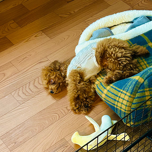 roenさんの部屋