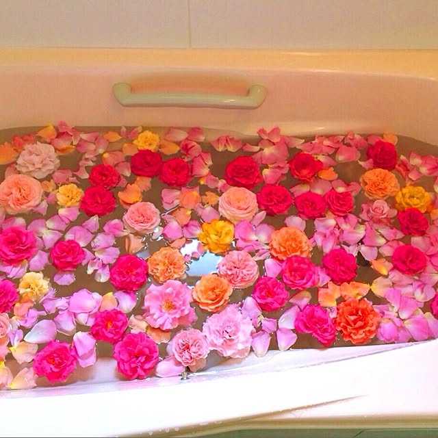 HappyRoseさんの実例写真