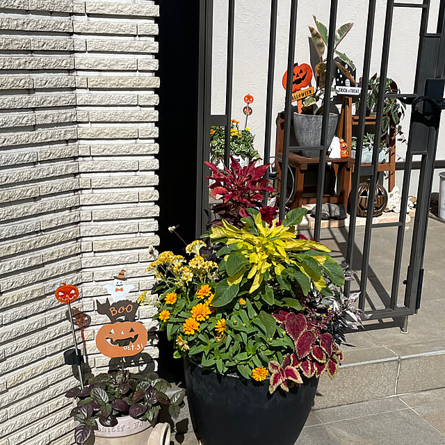 maimai0110さんの部屋