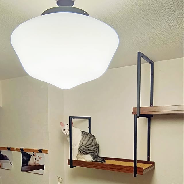 hirukumaさんの実例写真