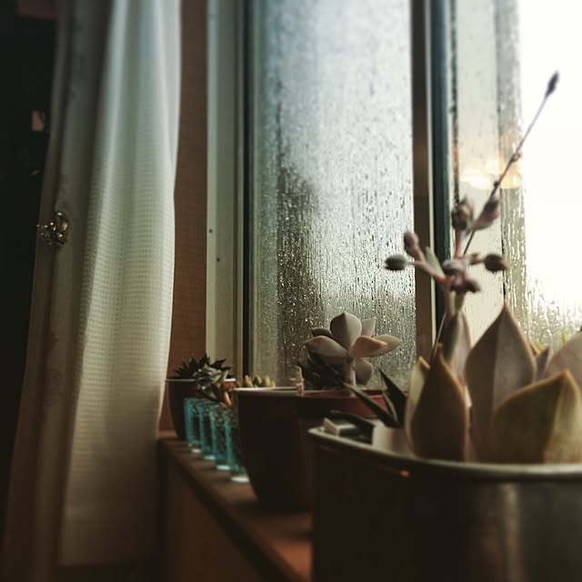 spiyanさんの実例写真