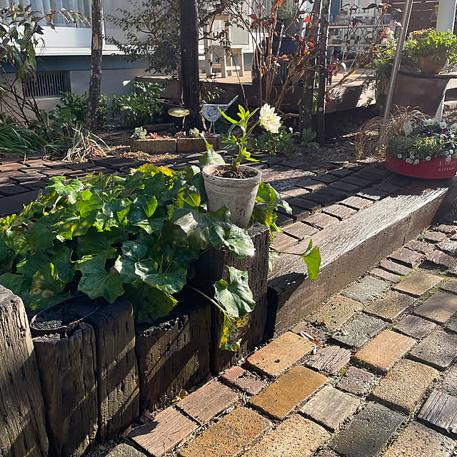 nobikoさんの実例写真