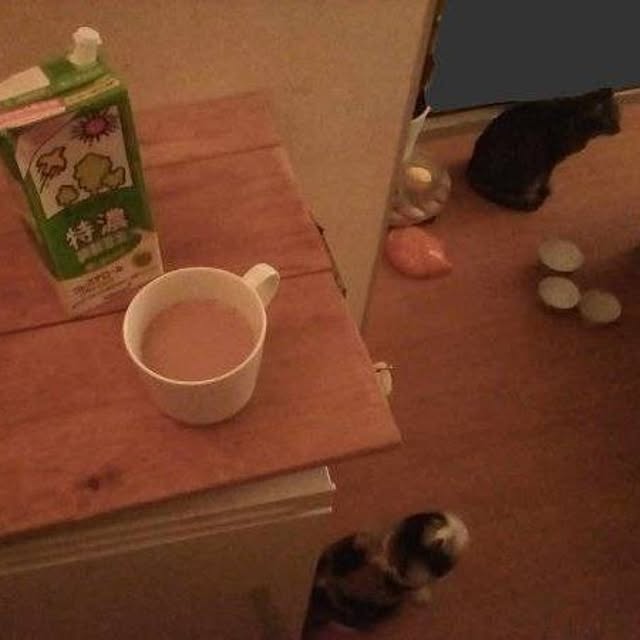catloveさんの実例写真