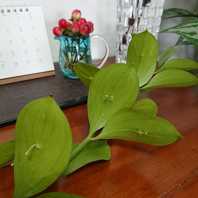 hopkeiさんの実例写真