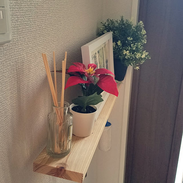 polmomさんの実例写真