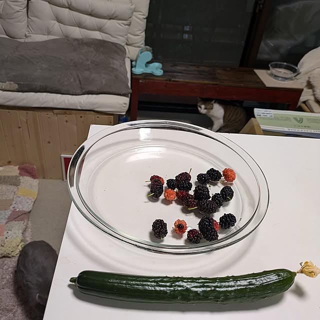 mori_6_12さんの部屋