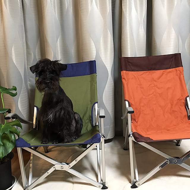Blackyさんの実例写真