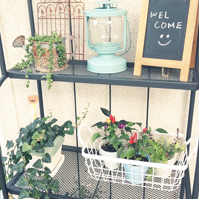 nanakoさんの実例写真