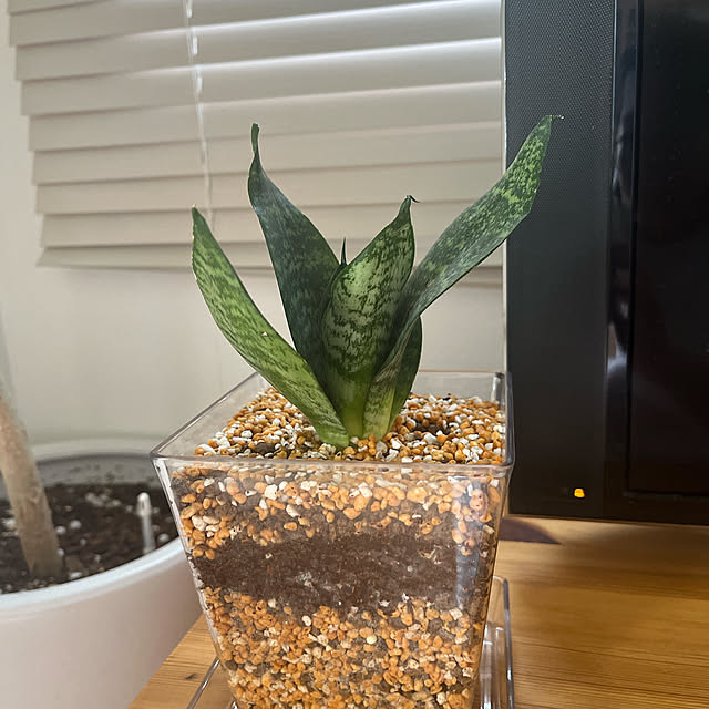 Appleさんの実例写真