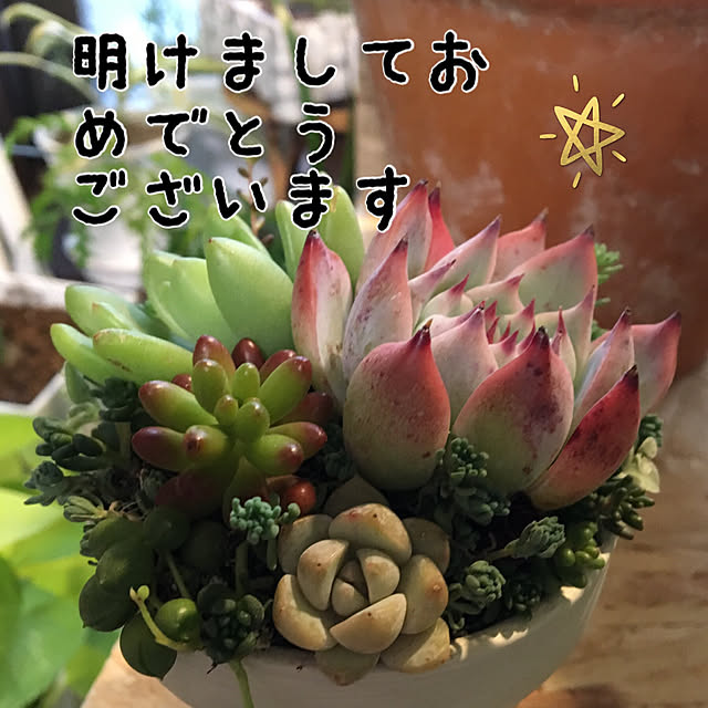dainaoreiさんの実例写真