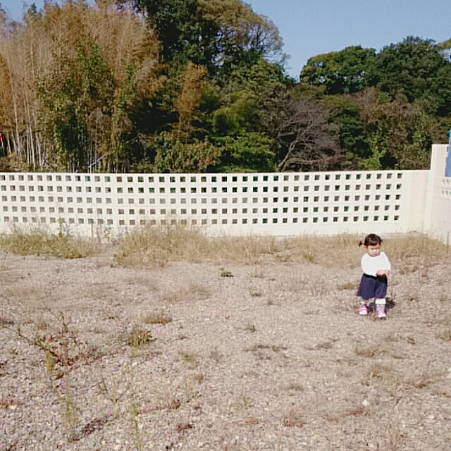 tamaさんの実例写真