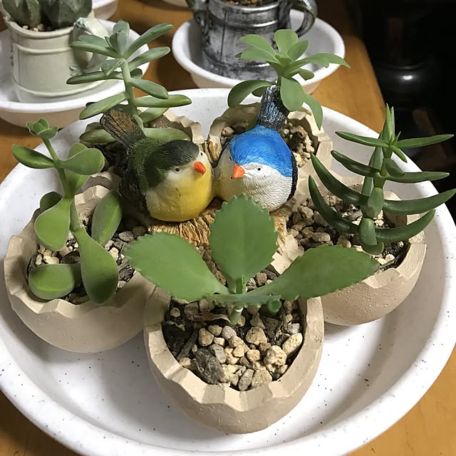 Toruさんの実例写真