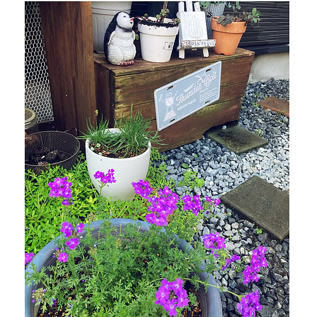 CoCo0617さんの部屋