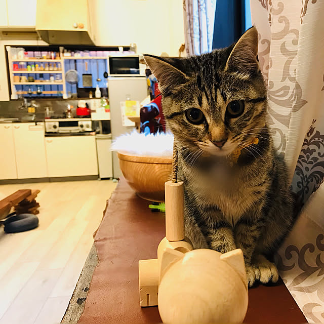 Mさんの実例写真