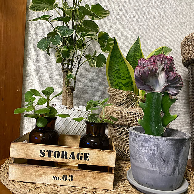 keiさんの実例写真