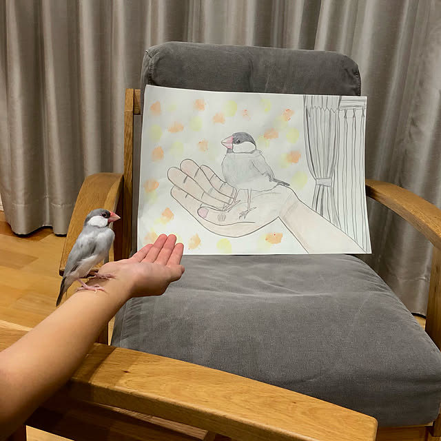 yoppiさんの実例写真