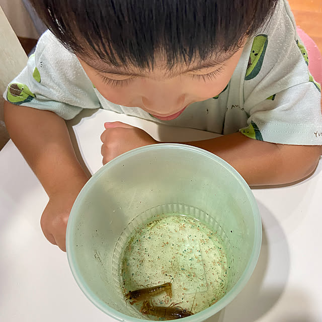 hansho.sさんの実例写真
