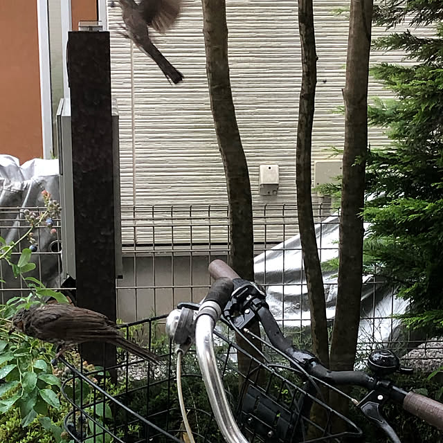 mさんの実例写真