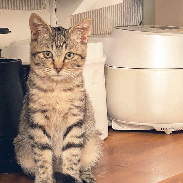 prepreさんの実例写真
