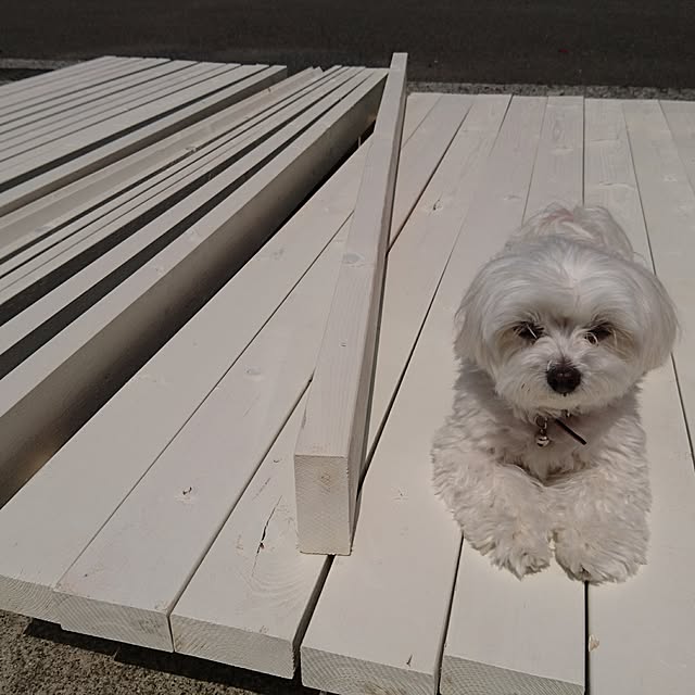 pocoさんの実例写真