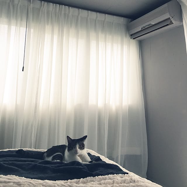 Shihoさんの実例写真