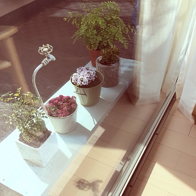 coyukiさんの実例写真