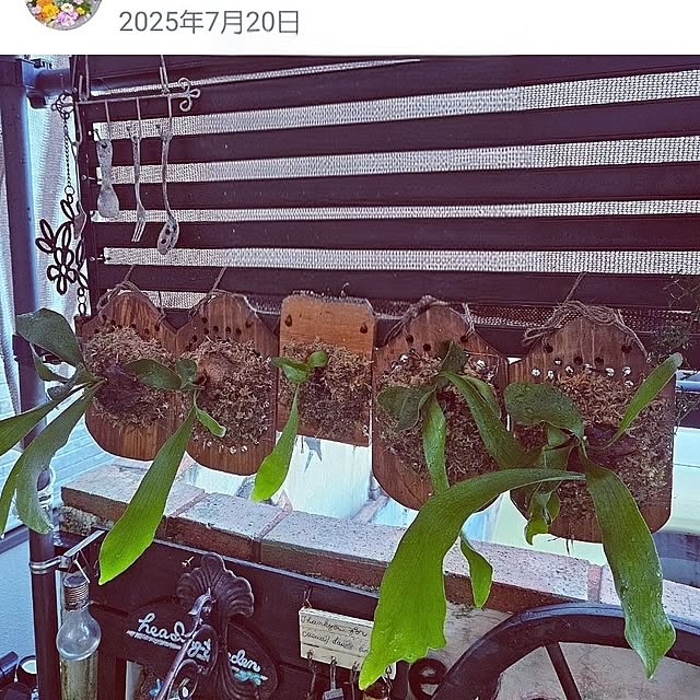 mocomocoさんの部屋