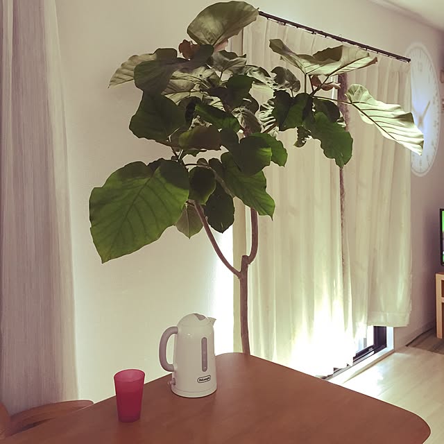 Takacoさんの実例写真