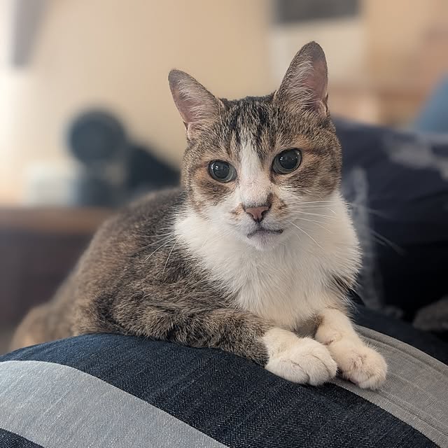 nanaさんの実例写真