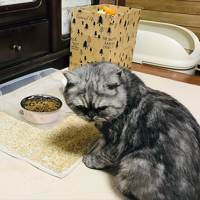 Marinさんの実例写真