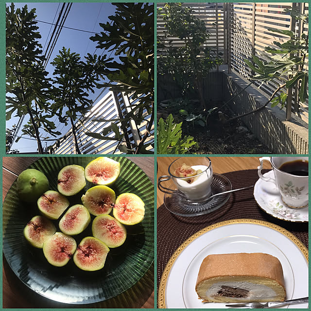 kimuraruさんの実例写真