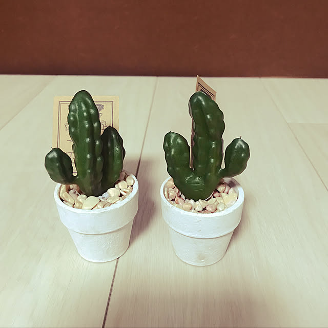 ＪＵＮさんの実例写真