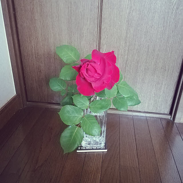 baron2017さんの実例写真
