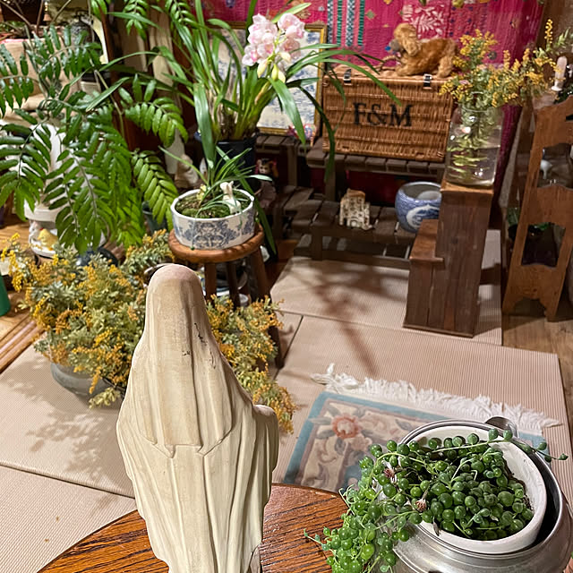 shin0719さんの実例写真