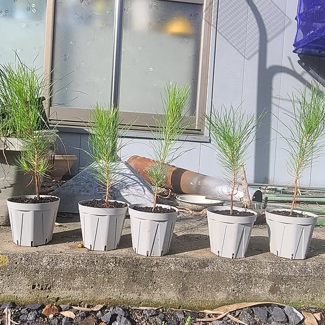 Rubiconさんの部屋