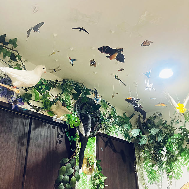 takakuzenさんの部屋
