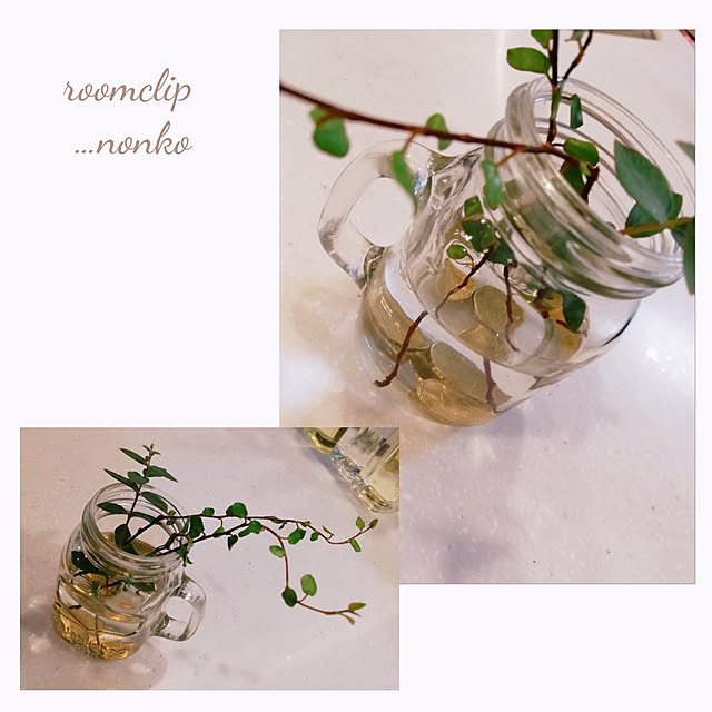 nonkoさんの実例写真