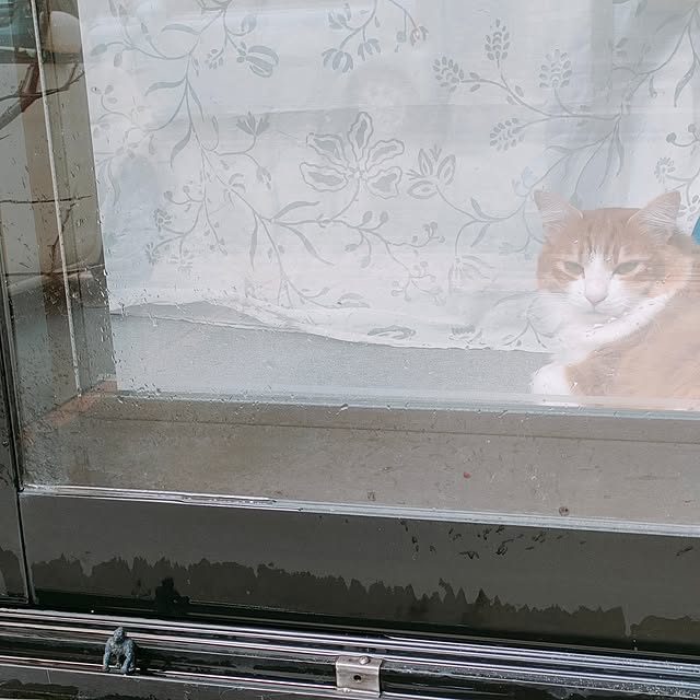 mori_6_12さんの部屋