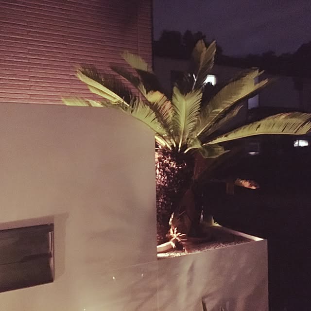 kokepapaさんの実例写真