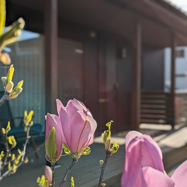 ponhanaさんの実例写真
