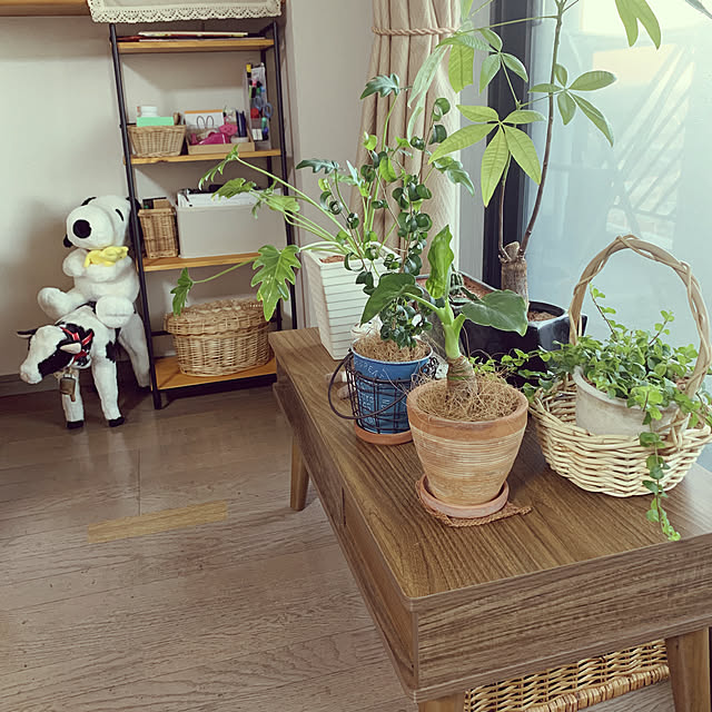 JUNさんの実例写真