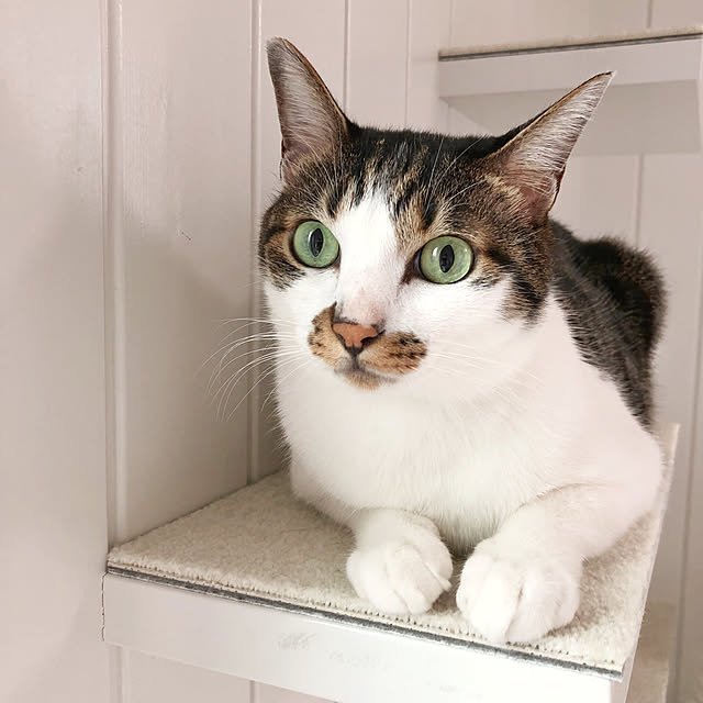 yuchiさんの実例写真