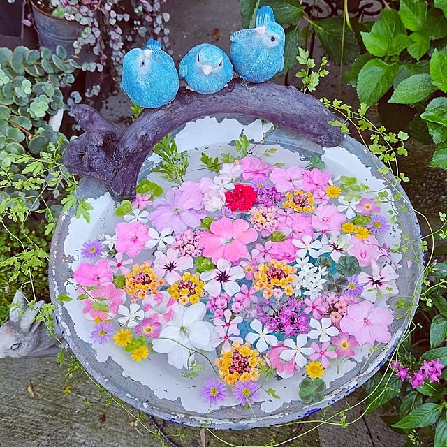 mocomocoさんの実例写真