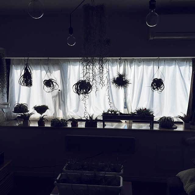 YUZYYUZYYUZYさんの実例写真