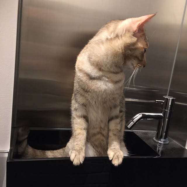 umetarouさんの実例写真