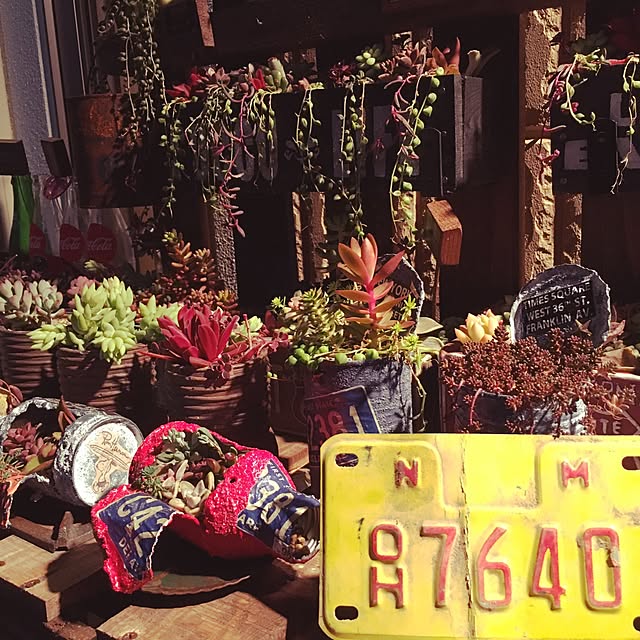 bon-bon-hippieさんの実例写真