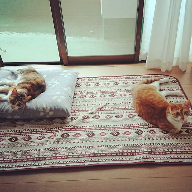 akiさんの実例写真