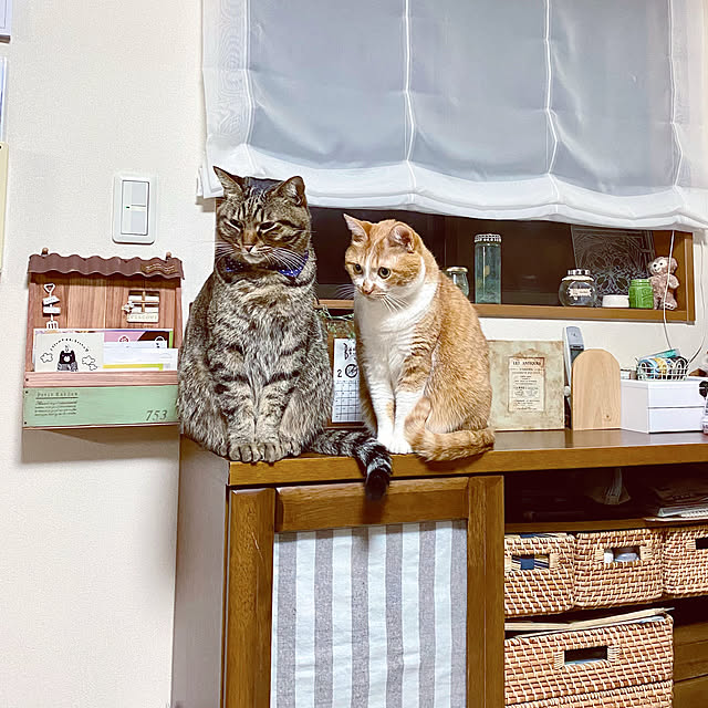 cocomaroさんの実例写真